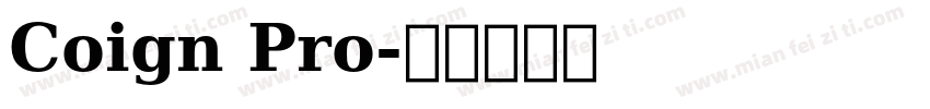 Coign Pro字体转换